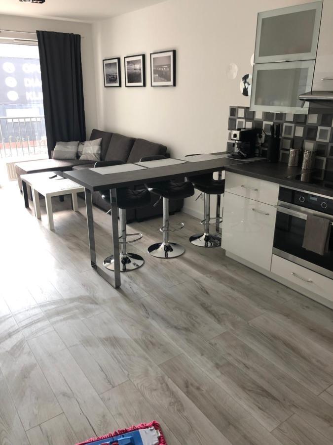 Apartament Kinga コウォブジェク エクステリア 写真